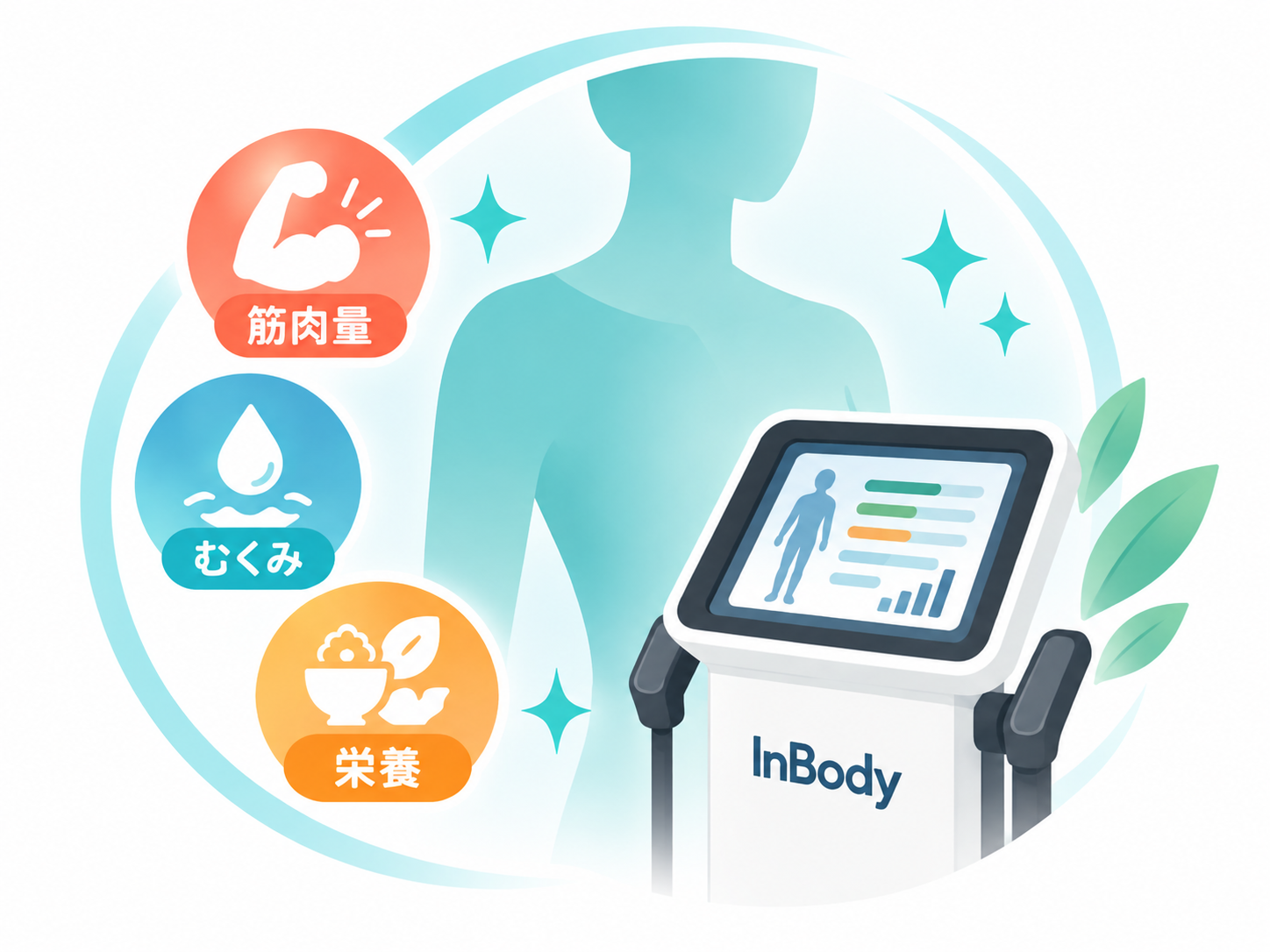 InBody S10による体成分・体水分の評価