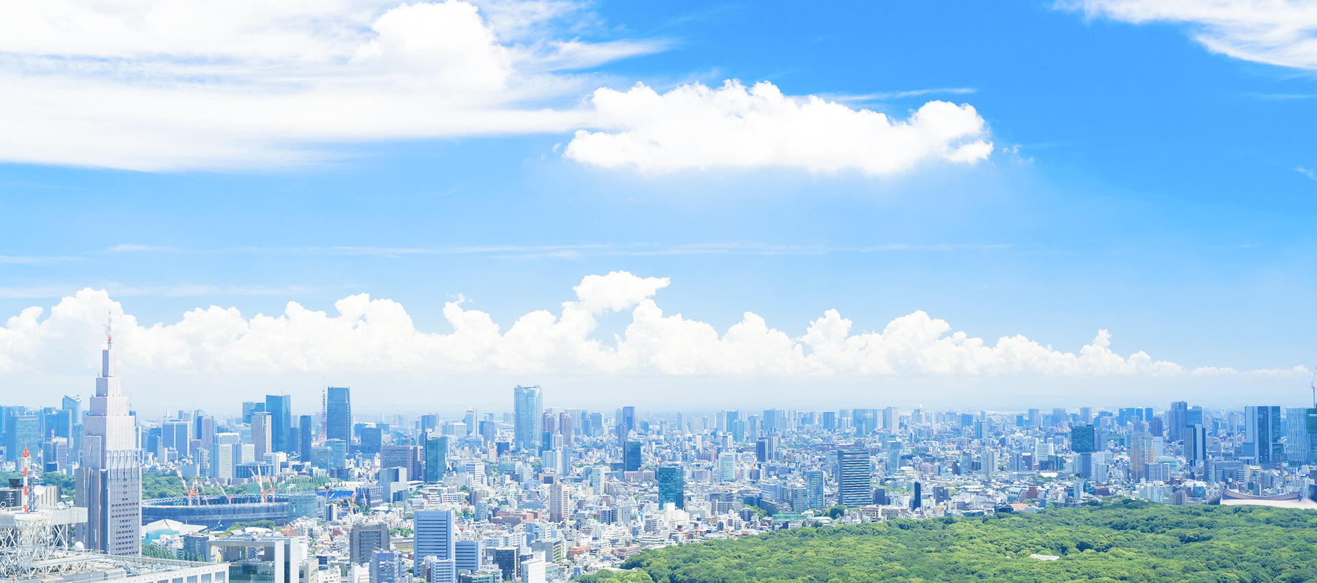 有限会社山八